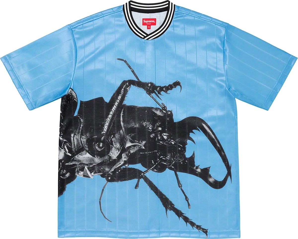 Beetle Soccer Top view 5